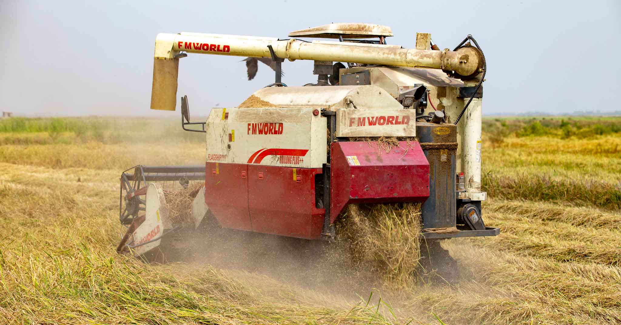 Harvest