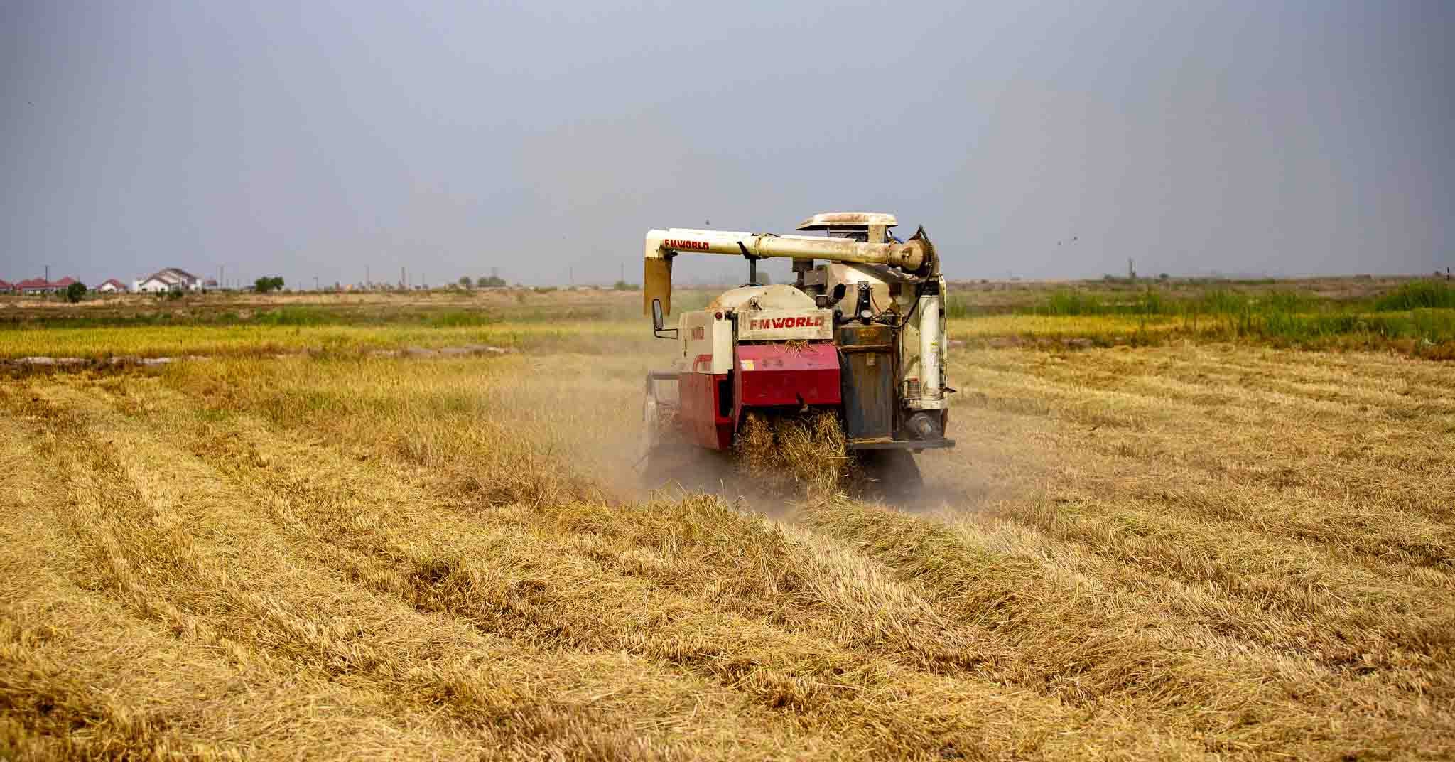 Harvest