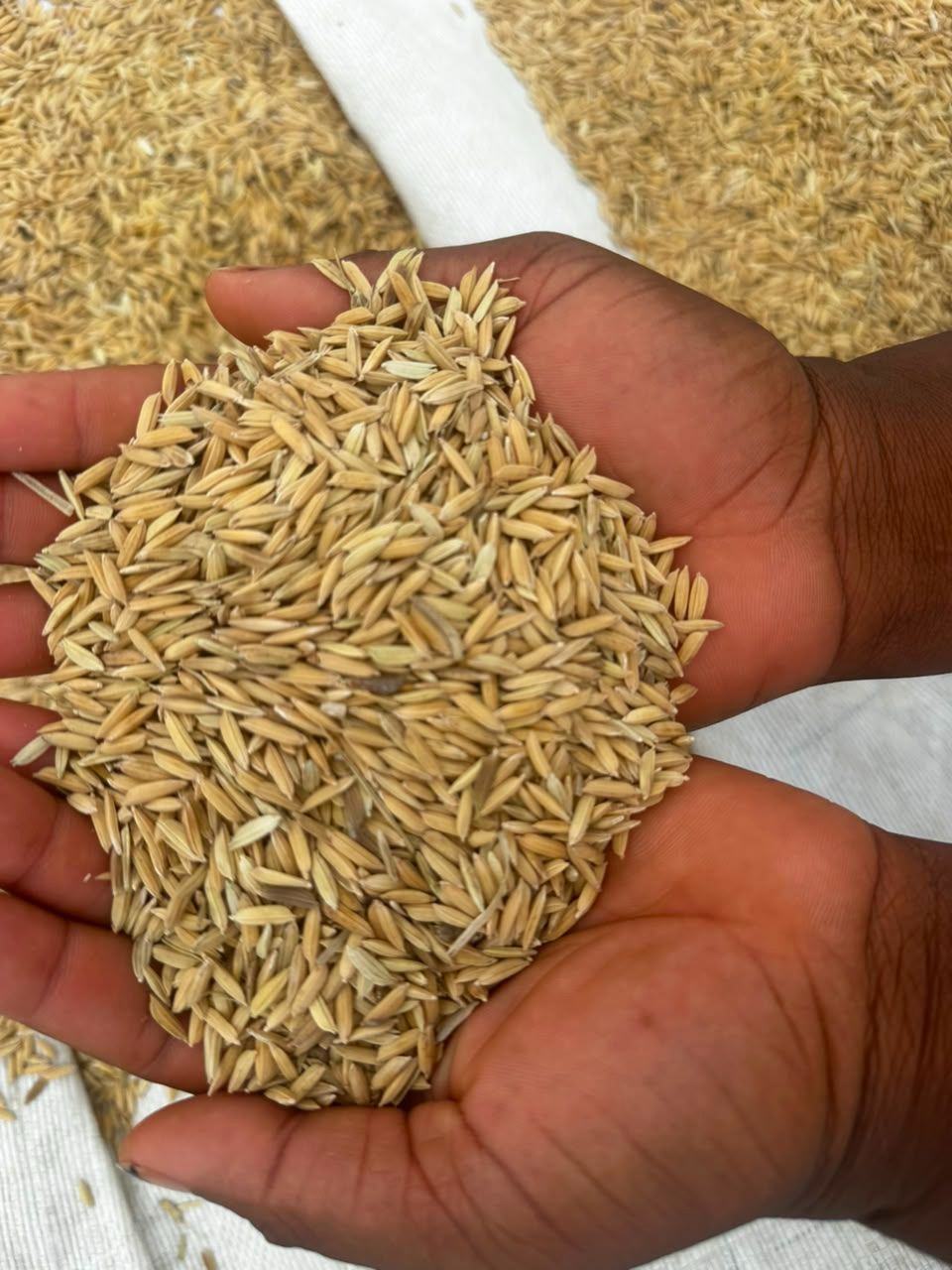 Harvest